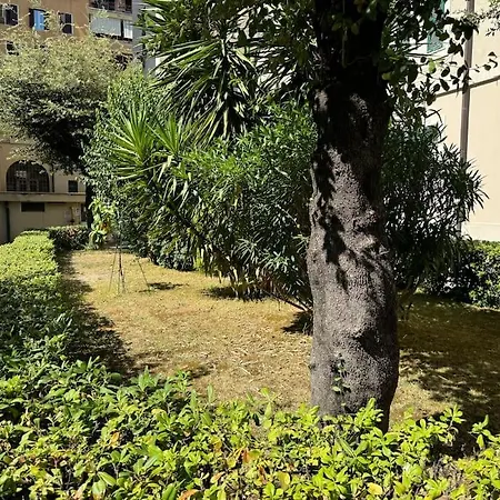 Casa Gigi Al Vaticano 公寓 *